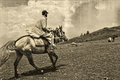 horse-rider