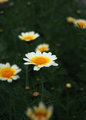 stand out