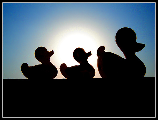 Into the sunset.jpg