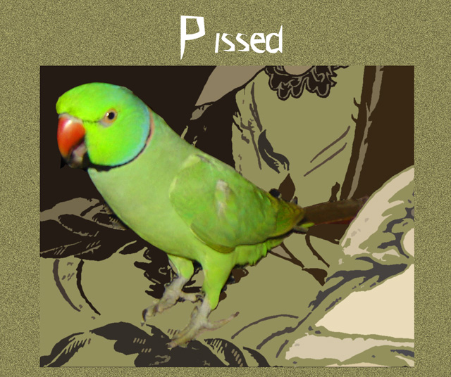 pissed!.jpg