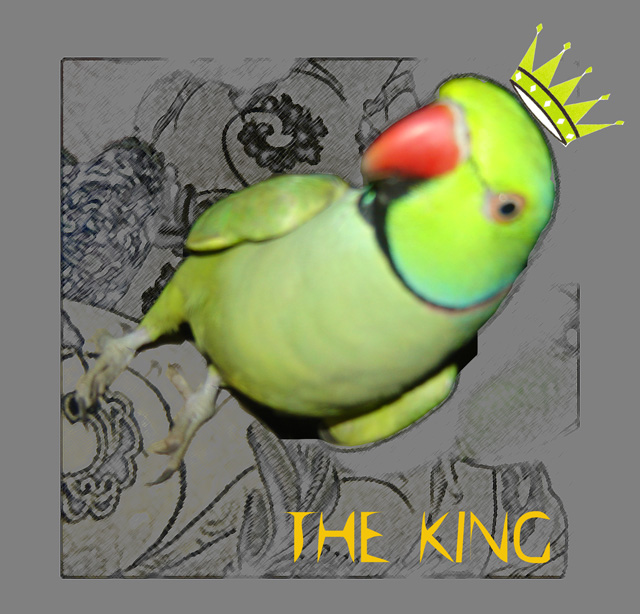 king.jpg