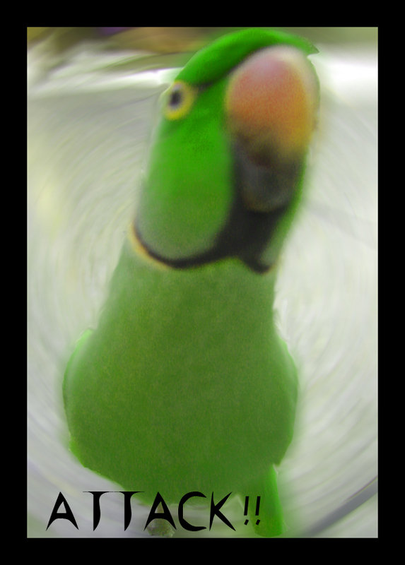 ATTACK.jpg