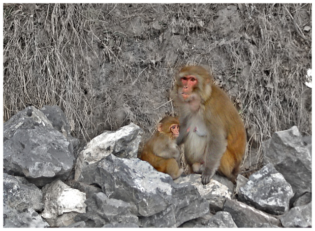 Protective
