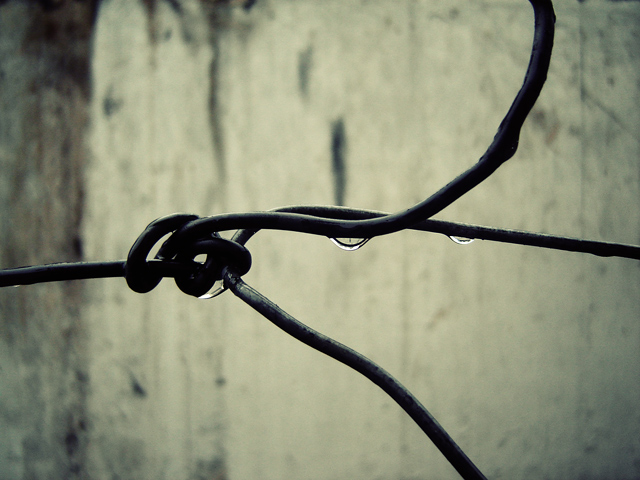 Tangle