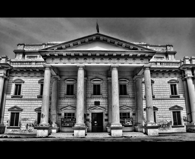 The Library