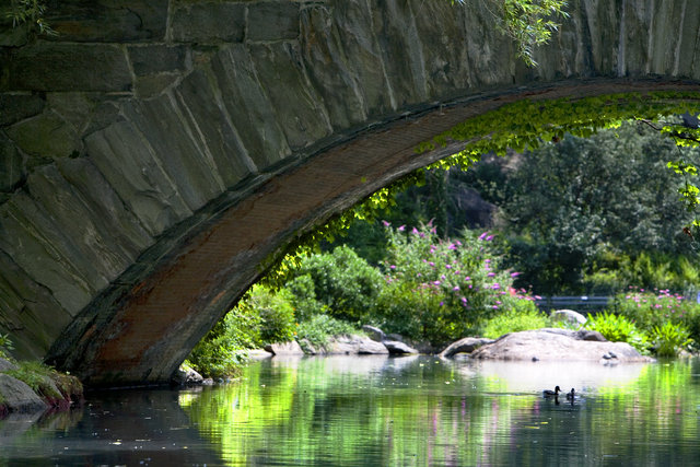 Gapstow's Bridge in Summer