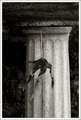 Day 23 - Column and a leaf