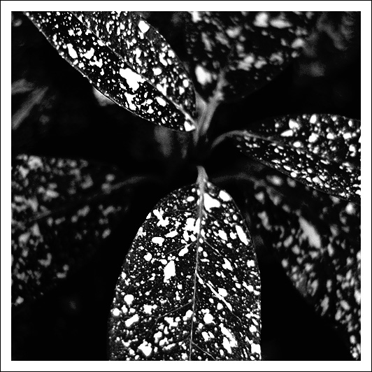 Day 19 - 3x3