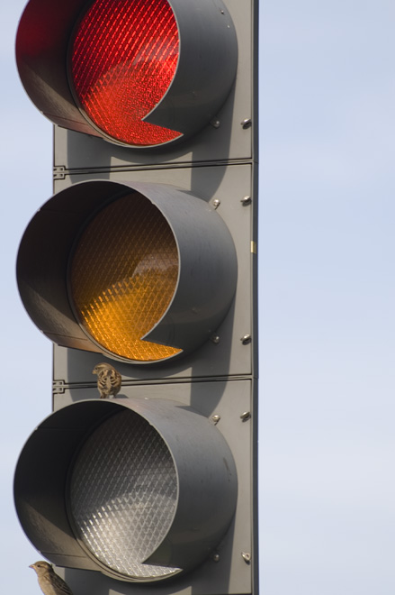 traffic light_orig.jpg