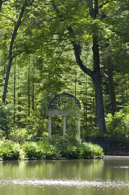 enchanted forrest orig.jpg
