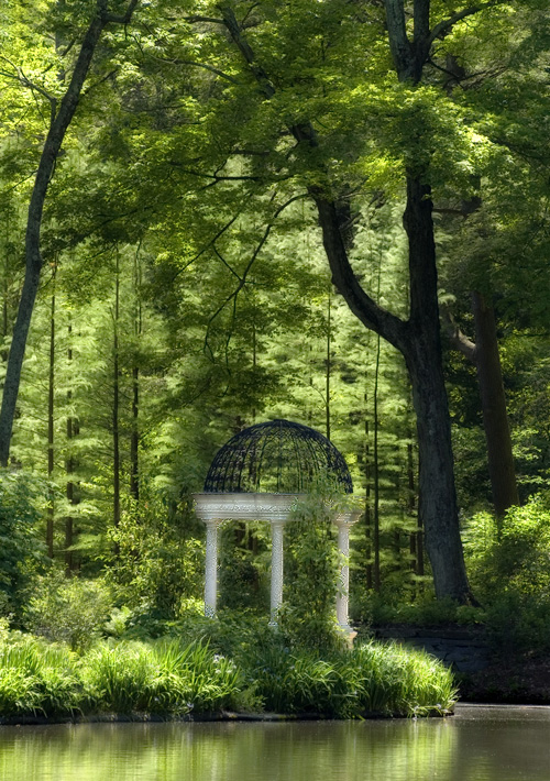 Enchanted forest - remake