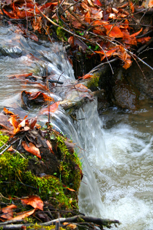 Waterfall.2.jpg