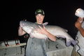 blue catfish