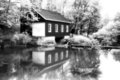 saw mill