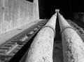 2 Tubes in B/W