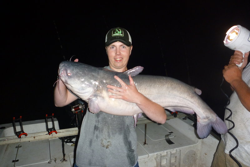 blue catfish