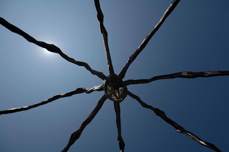 Spider 1