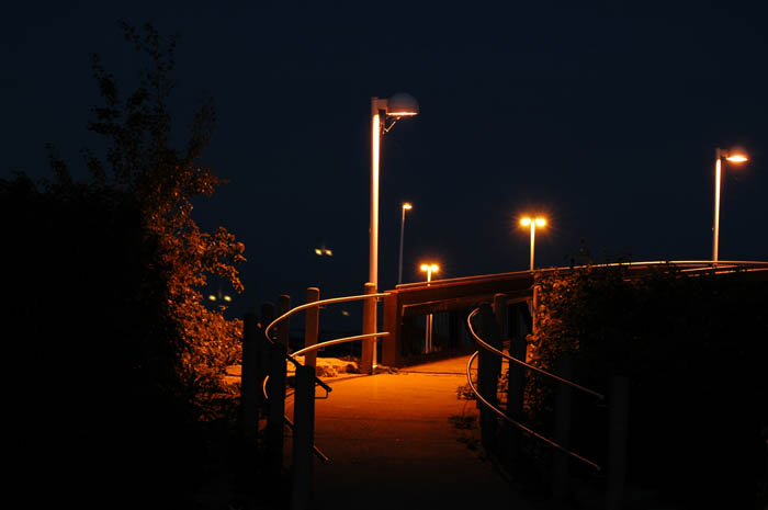 nite walk.jpg
