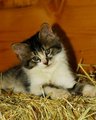 So Cute!!!