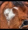 Day 1 B - Miss Agapays heart!