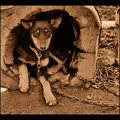 Day 4 - Lacey