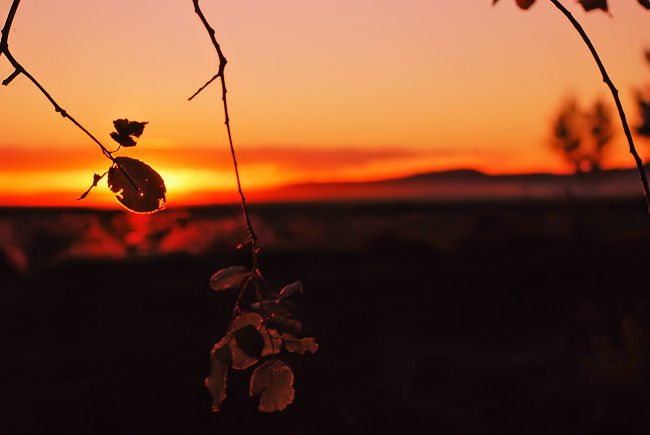 Another Day Has Ended