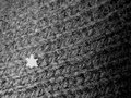 Snowflake on a Wool Glove