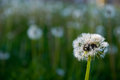 Waiting to Blow Away