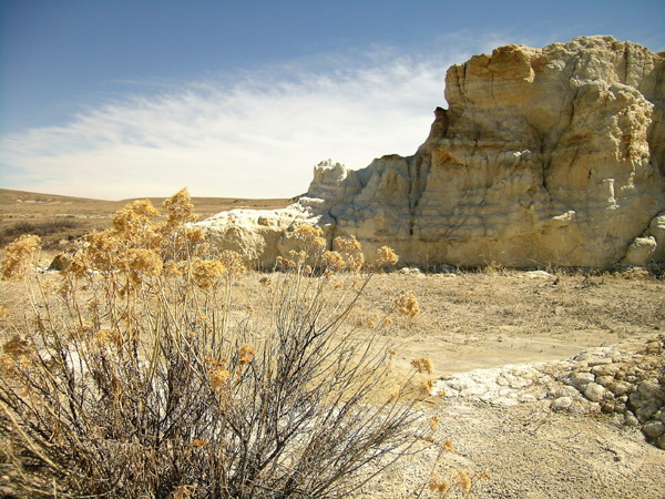 Painted Terrain