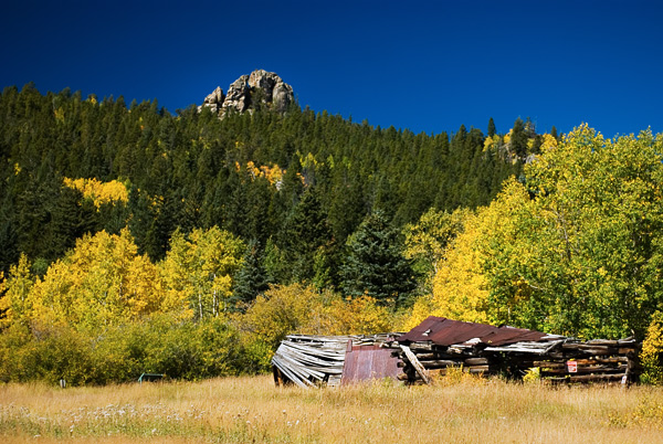 Fixer-Upper