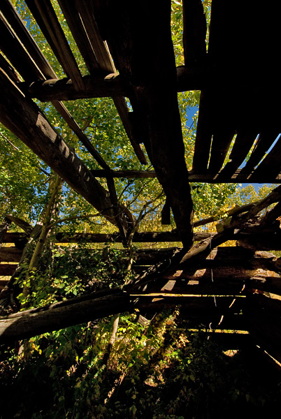 Weathered Roof