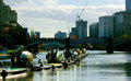 Fish on the Yarra.jpg