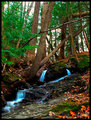 Autumn-Stream