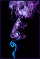 Sensual Chaos