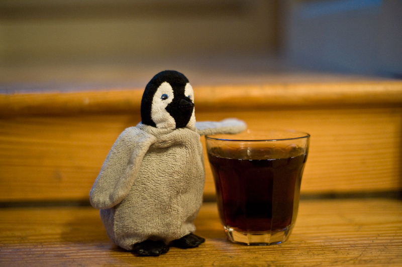 First Drink