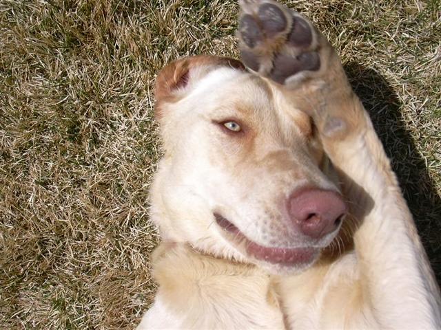 Riley pose.JPG