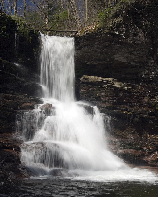 _DSC0084.jpg