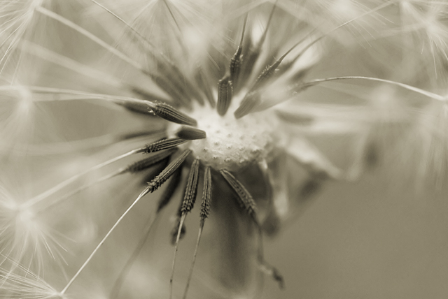 Texture (8)