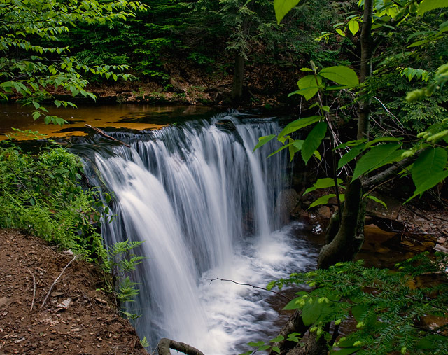 DSC_2997.jpg