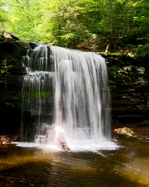 DSC_3036.jpg