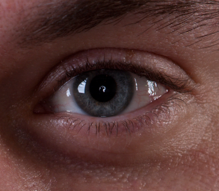100% crop - D3x Detail