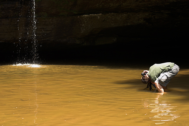 Rushing Cedar Falls