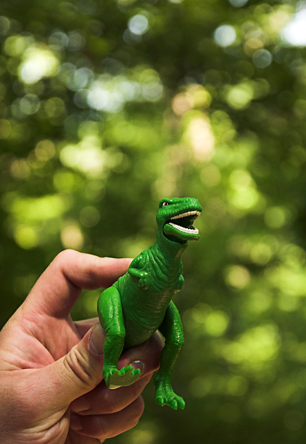 T-REX