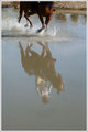 Running On Water