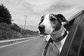 Road Trip