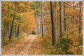 Autumn Path