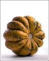 Gourd 1
