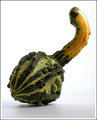 Gourd 2