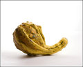 Gourd 3
