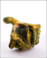 Gourd 4